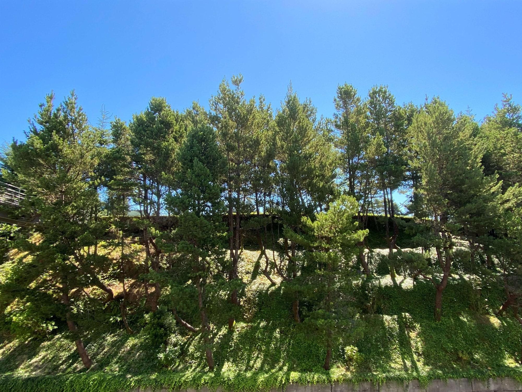 Best Western Plus Agate Beach Inn Newport Bagian luar foto